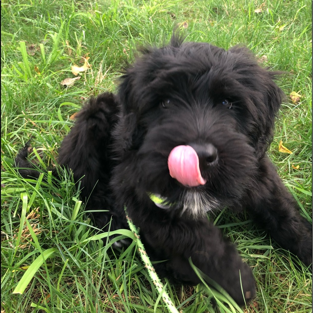 Meet your Posher, Yuliya